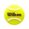 Antivibrateurs Wilson Roland Garros 2025